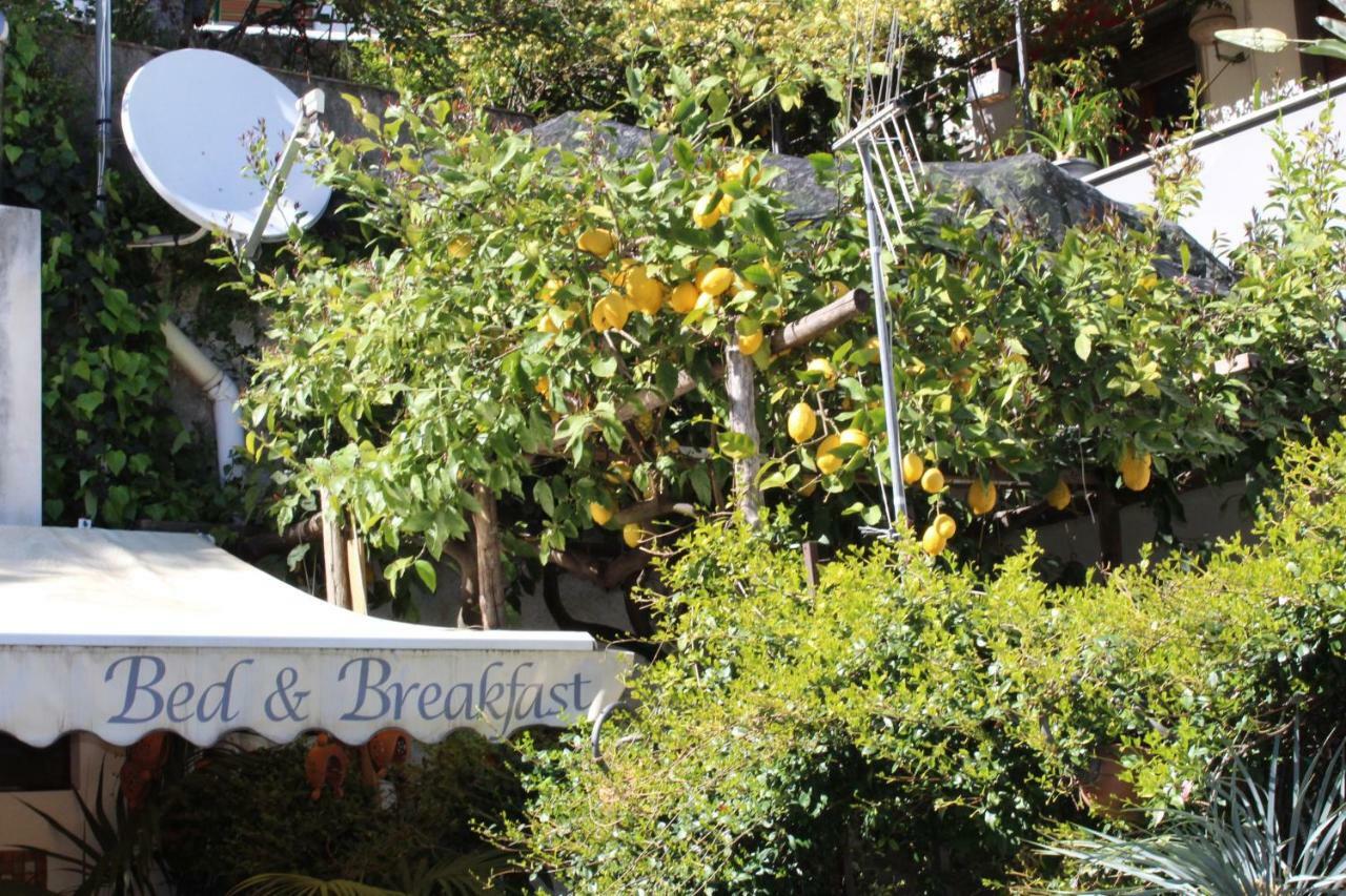 Bed & Breakfast Casa Anna Rita Vietri sul Mare Exterior photo